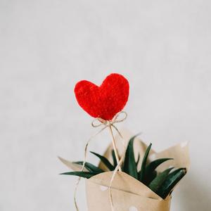 chinese熟女老女人和小伙
